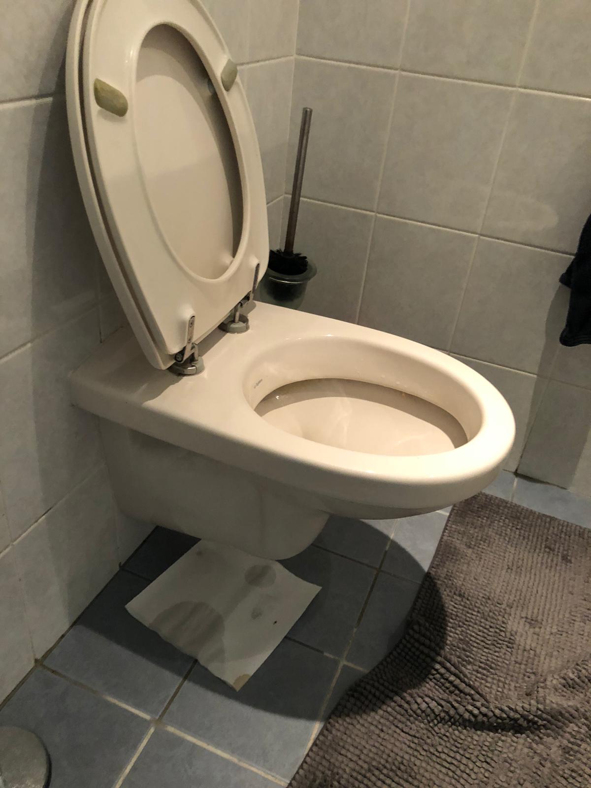 hangtoilet Twello